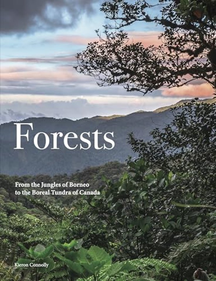 Forests