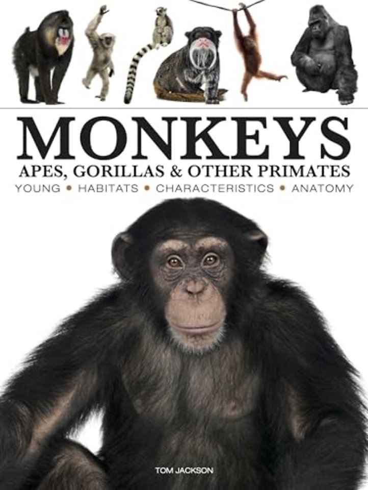 Monkeys