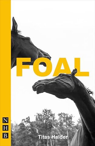 Foal