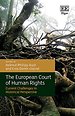 The European Court of Human Rights The European Court of Human Rights