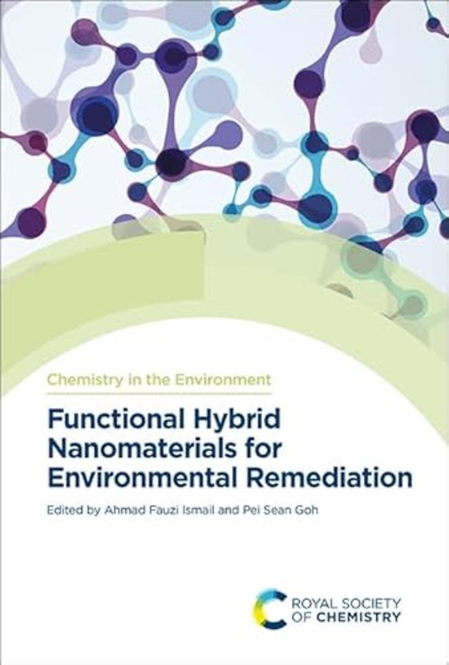Functional Hybrid Nanomaterials for Environmental Remediation