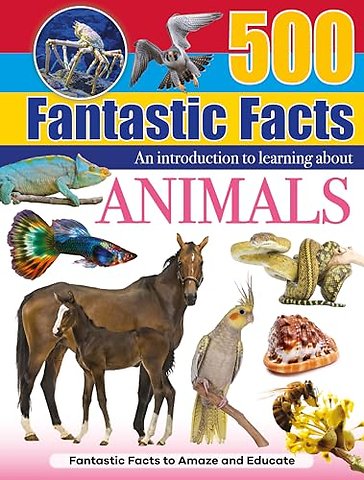 Animals