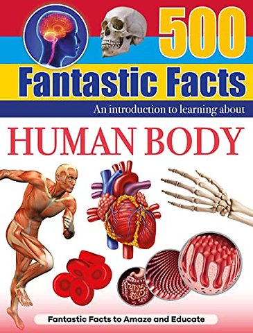 Human Body