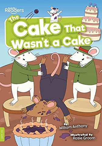 The Cake That Wasn't a Cake