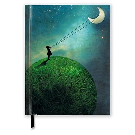 Catrin Welz-Stein: Chasing the Moon (Blank Sketch Book)