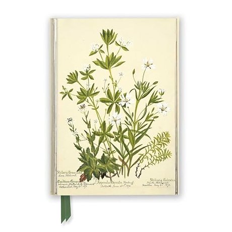 RBGE: Charlotte Cowan Pearson: Stitchworts, Woodruff and Pepperwort (Foiled Journal)