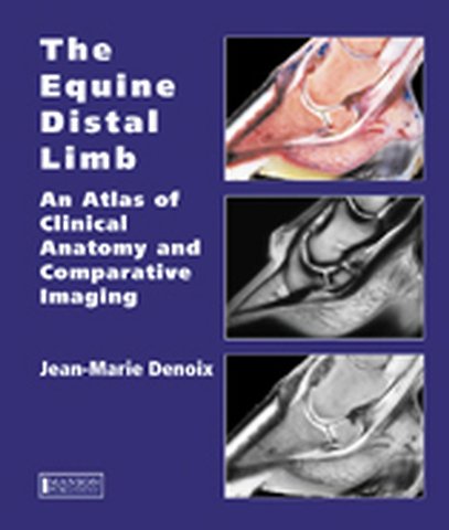 Equine Distal Limb