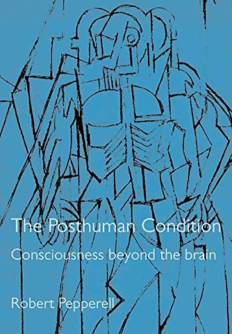 The Posthuman Condition