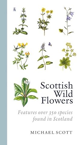 Scottish Wild Flowers