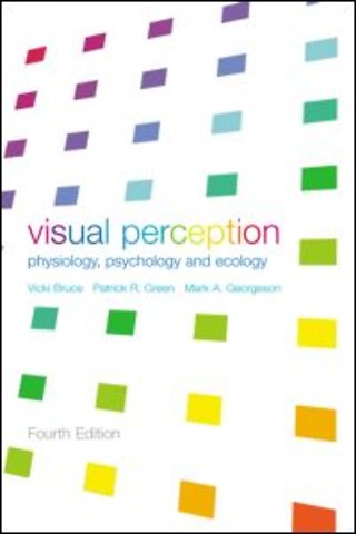 Visual Perception