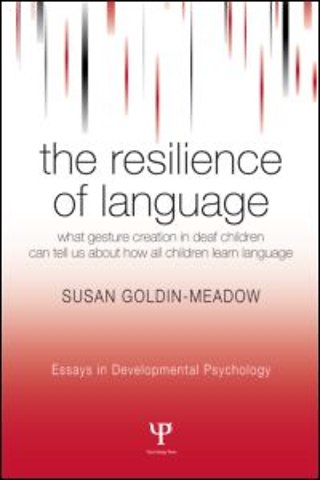 Resilience of Language