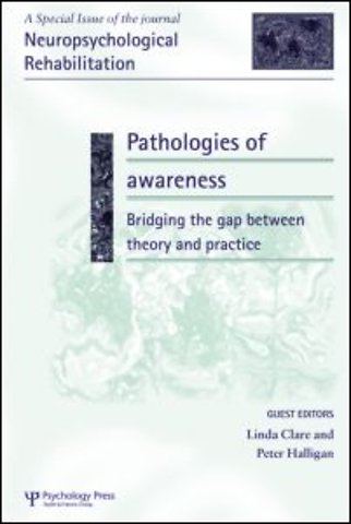 Pathologies of Awareness: Bridging the Gap between Theory and Practice