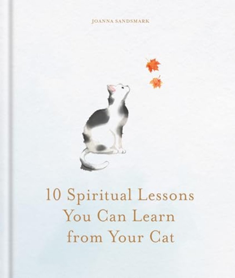 10 Spiritual Lessons You Can Learn from Your Cat