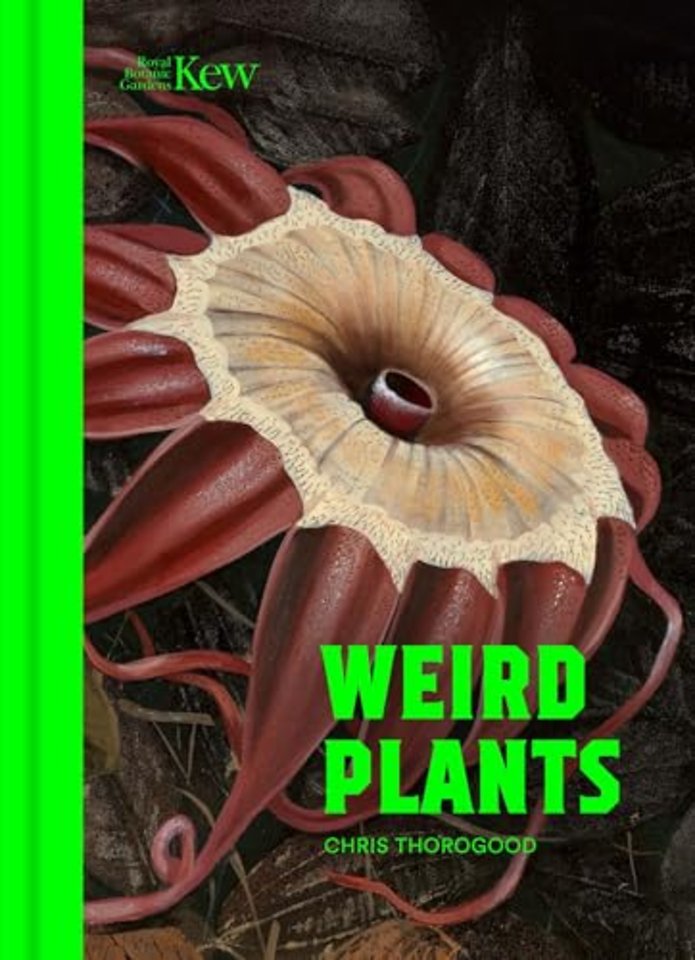 Weird Plants