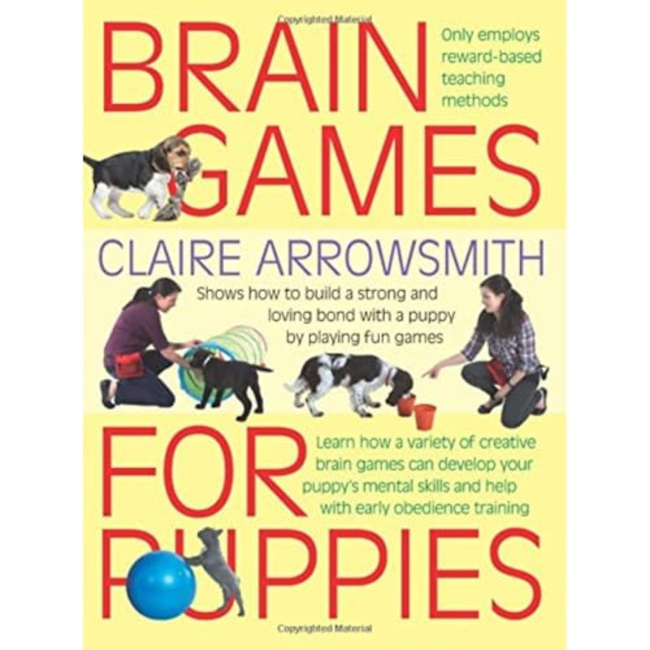 Brain Games for Puppies