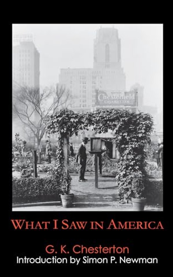 What I Saw in America