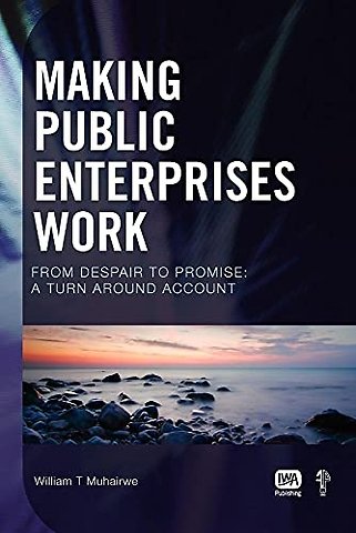 Making Public Enterprises Work