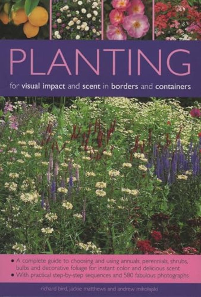 Planting for Visual Impact and Scent in Borders and Containers