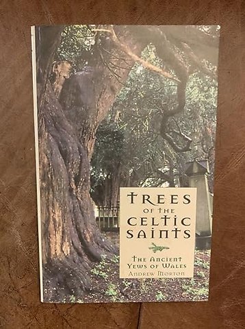 Trees of the Celtic Saints ? The Ancient Yews of Wales