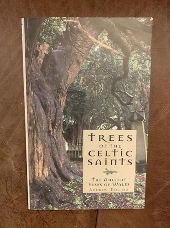 Trees of the Celtic Saints ? The Ancient Yews of Wales