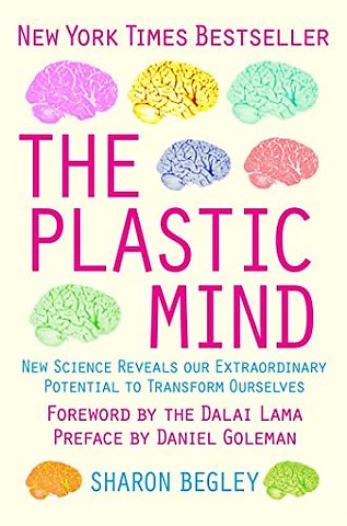 The Plastic Mind