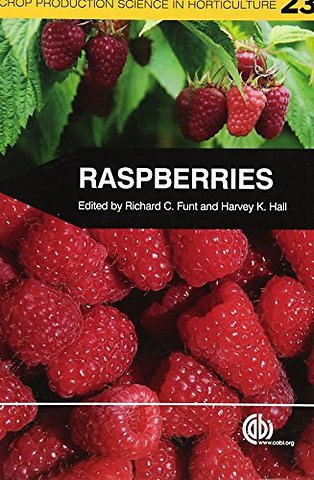 Raspberries