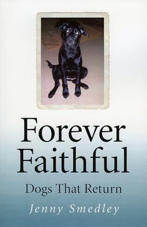 Forever Faithful – Dogs That Return