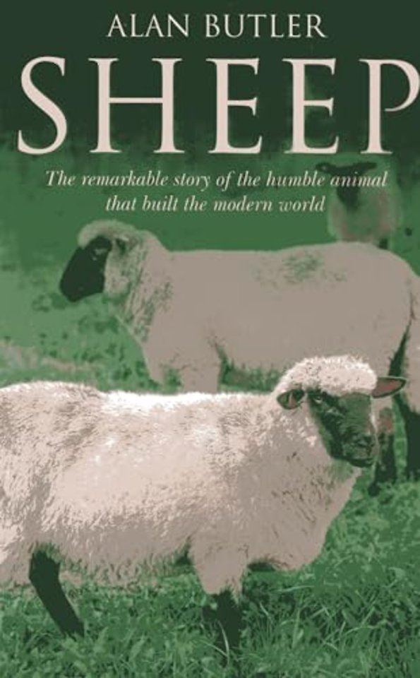 Sheep – The remarkable story of the humble animal that built the modern world.