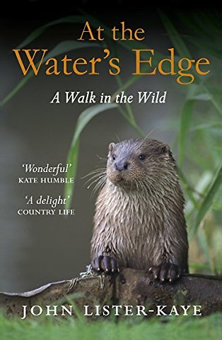 At the Water's Edge