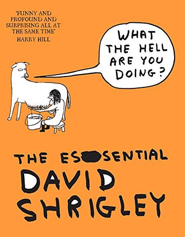 What The Hell Are You Doing?: The Essential David Shrigley