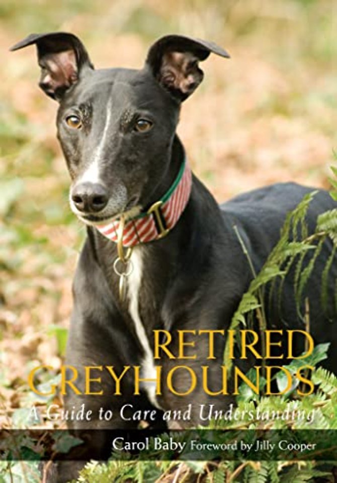 Retired Greyhounds – A Guide to Care and Understanding