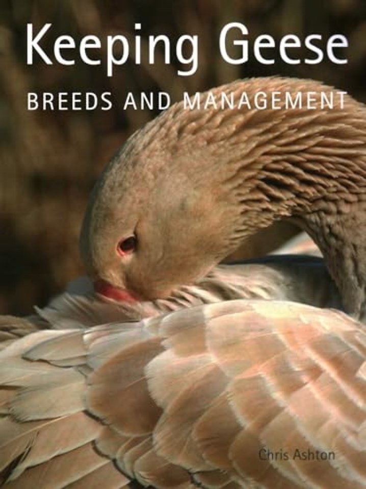 Keeping Geese – Breeds and Management