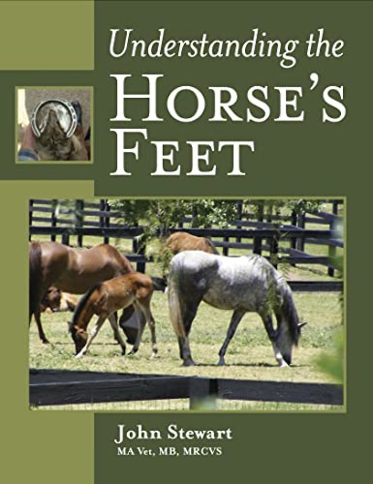 Understanding the Horse`s Feet