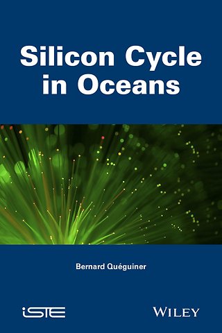 The Biogeochemical Cycle of Silicon in the Ocean