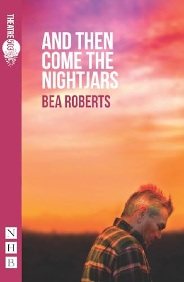 And Then Come The Nightjars