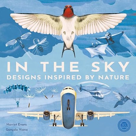 In the Sky