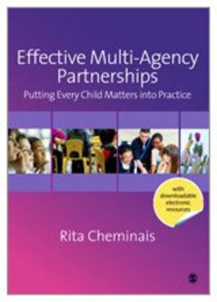 Effective Multi-Agency Partnerships