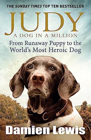 Judy: A Dog in a Million