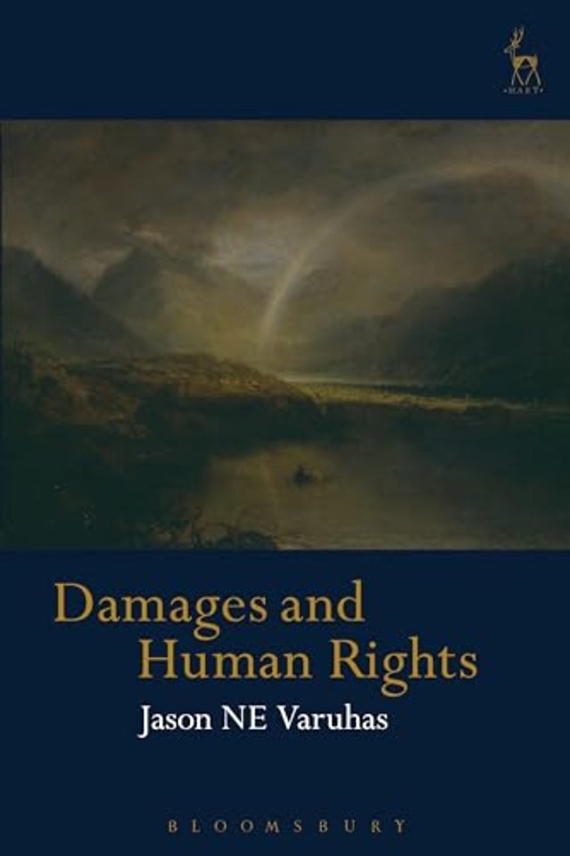 Damages and Human Rights