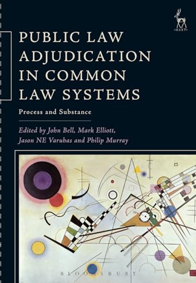 Public Law Adjudication in Common Law Systems