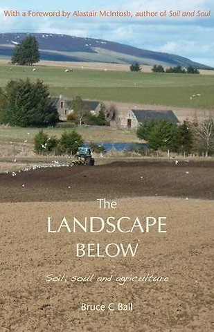 The Landscape Below