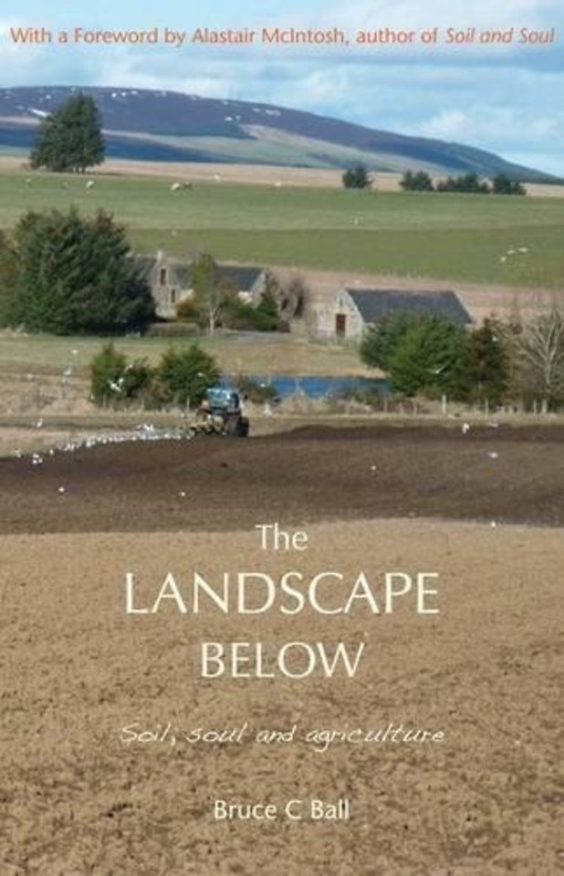The Landscape Below