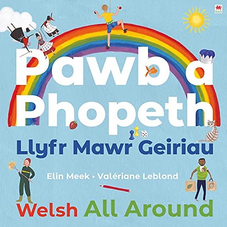 Pawb a Phopeth - Llyfr Mawr Geiriau / Welsh All Around
