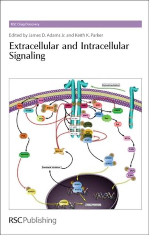 Extracellular and Intracellular Signaling