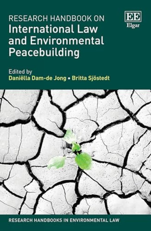 Transnational Corporations and International Law –- Accountability in the Global Business Environment