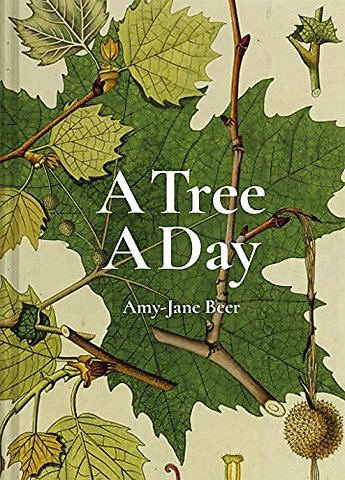A Tree A Day
