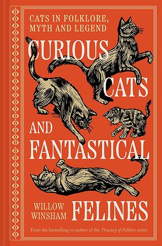 Curious Cats and Fantastical Felines