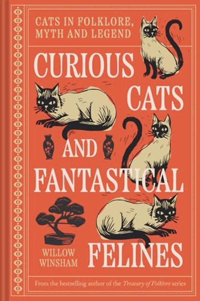 Curious Cats and Fantastical Felines