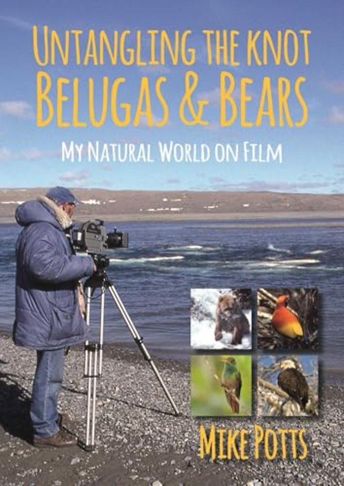 Untangling the Knot, Belugas and Bears