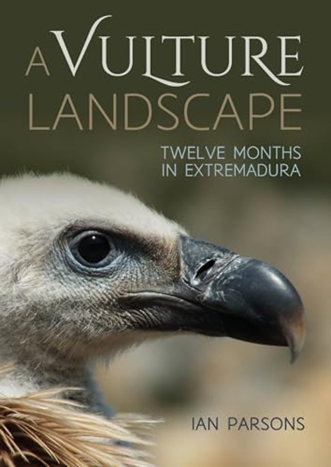 A Vulture Landscape